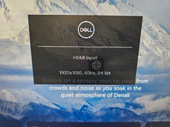 Dell P2422H 24" IPS LED 1080p Widescreen Monitor HDMI Displayport